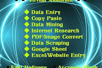 do data entry copy  paste web research