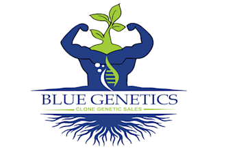 do beautiful professional  health and medical related logo