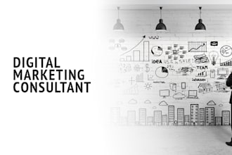 provide digital marketing consultation