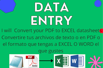 do data entry PDF, word, notepad to excel and copy pasting