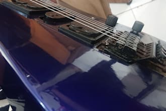 do create orchestra song for you
