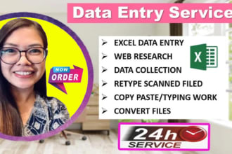 do excel data entry, copy paste, clean, split, organize data