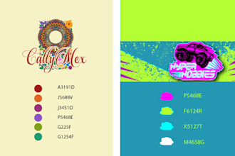 produce best custom signature color pallet for web, store, book, shop
