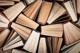 promote your book on two instagram accounts