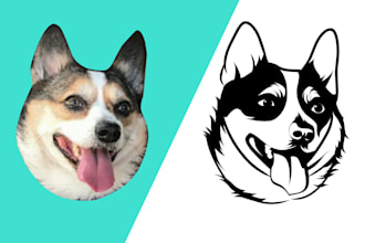 draw line art vector from your pet photo within 24 hours