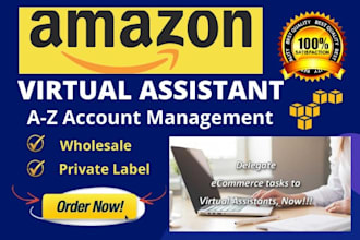 be amazon fba virtual assistant