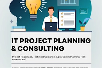 it project planning, technical consulting, and project management support