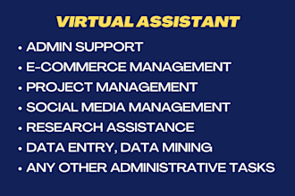 be your personal virtual assistant for data entry, web research, project manage
