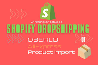 build branded shopify dropshipping website