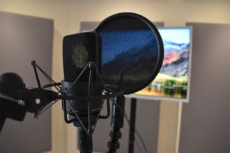 do vietnamese dubbing or voice over and sync video