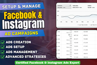 setup facebook ads and instagram ads campaign for leads and sales