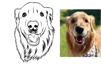 draw black white line art of your pet portrait or custom