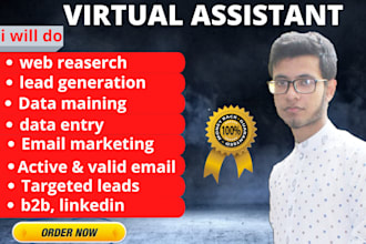 do your perfect virtual assistant for data entry web reserch