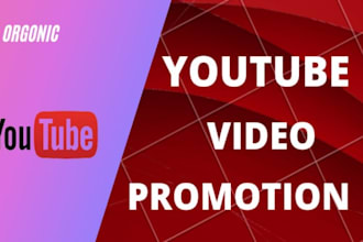 do youtube marketing and video promotion