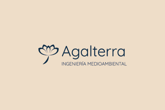 make your logo and visual identity