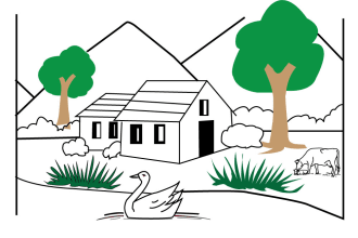 draw coloring book page for children and adults, kdp