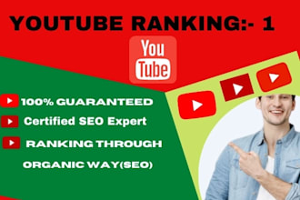 do best you tube video seo for improve ranking
