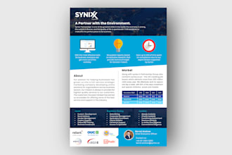 design one pager executive summary or investment teaser