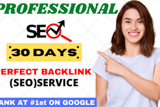 provide monthly off page seo service for google top ranking
