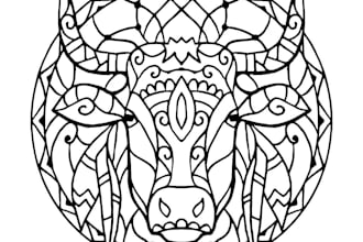 send you 500 mandala colouring pages