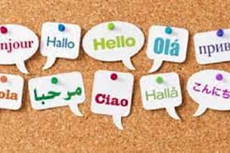 translate all countries languages