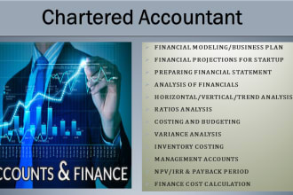 prepare financial statements, projections, forecasting, business plan
