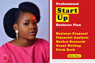 write winning business plan for startups, business proposal, financial plan