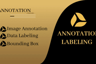 do image annotation, data labeling, and bounding box