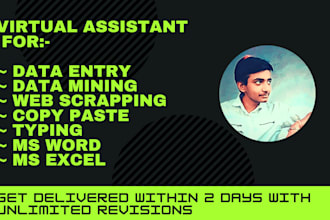 do data entry in excel or sheets