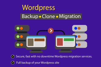 do a seamless website backup and migration