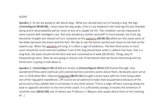 accurately transcribe english audios to text