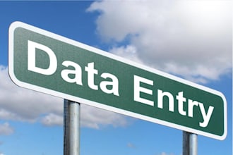do data entry, web research, copy paste job in word, excel