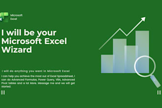 be your microsoft excel wizard