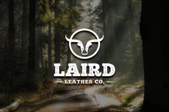 do professional unique logo design within 24hrs