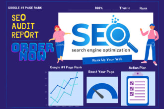 provide usability testing, web report ,SEO audit report with action plans