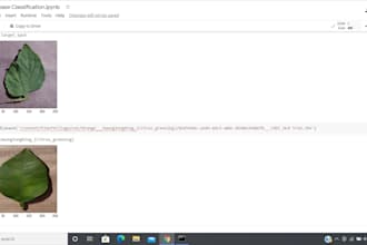 do deep learning using  tensorflow, pytorch and python