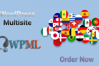 translate your entire website into a multisite