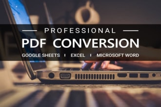 be professional extra fast manual accurate typist,data entry expert for 24 hours