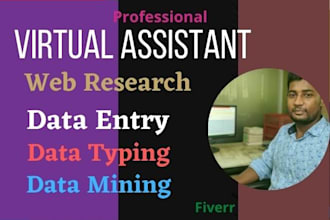 be perfectly virtual assistant,data entry and web research