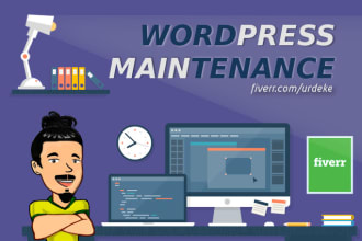 provide wordpress support and maintenance