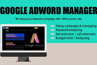 offer google adwords ads campaign management services