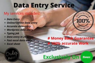 do data entry, typing job, wordpress data entry, data entry in 24 hours for you