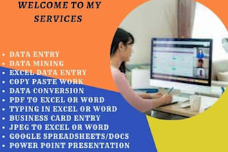 expert data entry operator