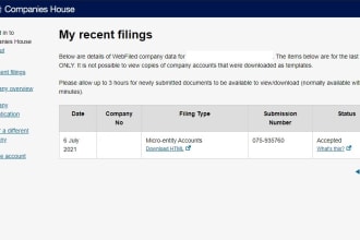 file your UK company annual accounts and tax return