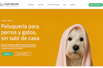 design and host your wordpress website with monthly support