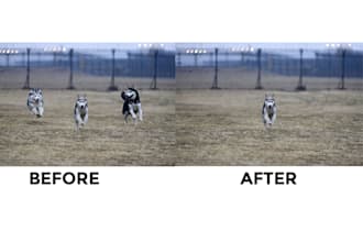 add remove unwanted objects or persons from your image photographs