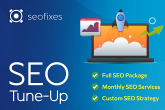 give your website an SEO tune up