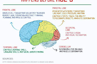 assist in early childhood research and summaries