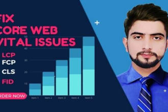 fix core web vital issue in 24 hours