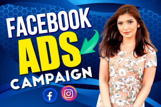 setup facebook ads campaign, instagram ads campaign for sales and leads